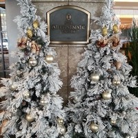 イタリアンダイニング ジリオン - 