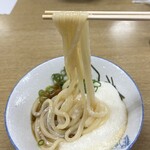 Iinoya - これぞ讃岐うどんといった透明感のあるしっかりしたコシ！エッジもしっかり立って喉越し最高！