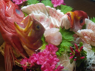 ここちもなか - ご予約でお造りもご用意できます。