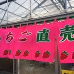 狭山ベリーランド本店 - ピンクの暖簾が本日のハウス