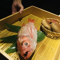 のどぐろ専門 銀座 中俣 - 