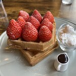 cafe Yummy Waffle - たっぷり苺の贅沢ワッフル　1,200円税込