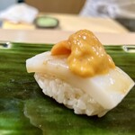 鮨長 - アオリイカと雲丹