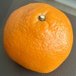 八百丸 - 料理写真: