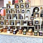 マ・プリエール - ここのディスプレーはマメに買えているようです。ちなみに焼き菓子は生菓子の向かい側。一個ずつ選べます。