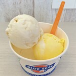 ブルーシール - 料理写真:アイスクリーム(レギュラー・ダブル)
(上)塩ちんすこう　(下)島パインココナッツ