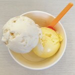 ブルーシール - アイスクリーム(レギュラー・ダブル)、真上から！
            (上)塩ちんすこう　(下)島パインココナッツ