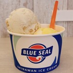 ブルーシール - アイスクリーム(レギュラー・ダブル)、真横から！
            (上)塩ちんすこう　(下)島パインココナッツ