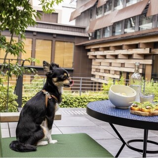 ルーフトップで愛犬とランチ♪ディナー♪