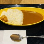 博多カレー研究所 博多とんこつあごだしカレー - 