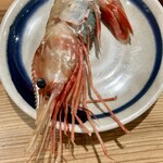 しんのすけ - ぼたんえび