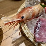 しんのすけ - ぼたんえび