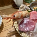 しんのすけ - ぼたんえび、生本まぐろ、初がつお