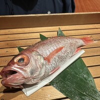 のどぐろ専門 銀座中俣 はなれ - 
