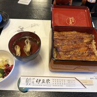 鰻割烹 伊豆栄 本店 -  鰻割烹 伊豆栄 本店 -