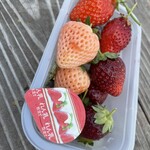 近藤いちご園 - 