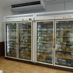 Paseri Gurin - 冷凍お惣菜も売ってます