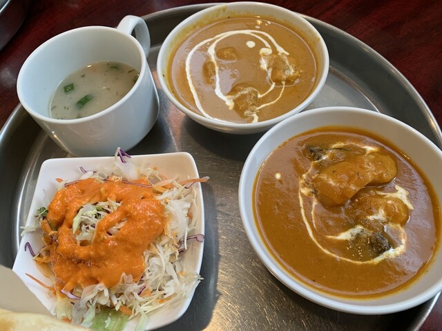 Indian Manna photo 2