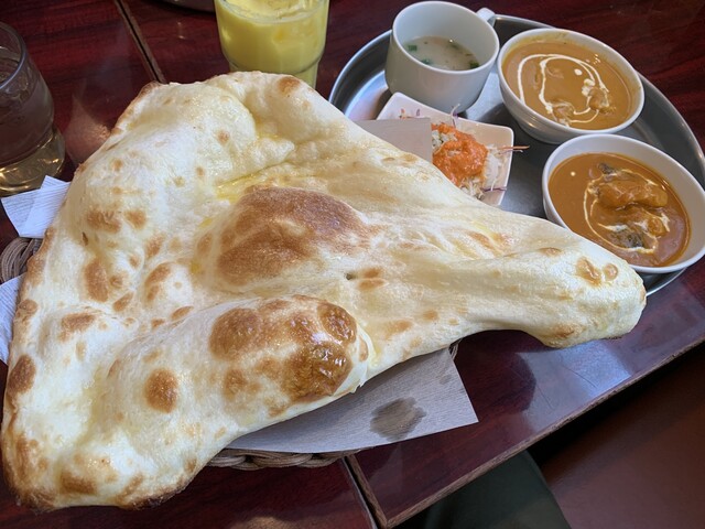 Indian Manna photo 3