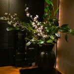 カーヴ - もう桜です(笑)