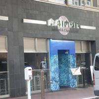 MAIMON GINZA - 