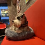 ドッグフレンドリー カフェ&バー Robinson - 