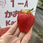 姫路ハートフル観光農園 - 