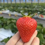 姫路ハートフル観光農園 - 