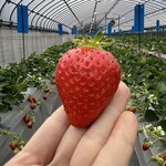 姫路ハートフル観光農園 - 