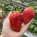 姫路ハートフル観光農園 - 