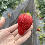 姫路ハートフル観光農園 - 