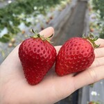 姫路ハートフル観光農園 - 