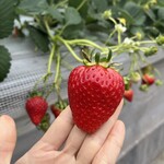 姫路ハートフル観光農園 - 