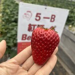 姫路ハートフル観光農園 - 