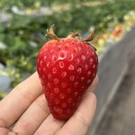 姫路ハートフル観光農園 - 