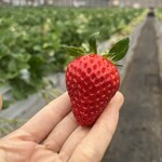 姫路ハートフル観光農園 - 