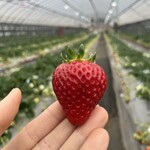 姫路ハートフル観光農園 - 