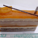 アプリコアールグレイ