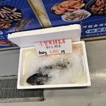 Jumbo Seafood Restaurant - 野生鮮魚って何？？