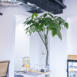 Leafis cafe ASAGAYA - 