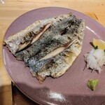 うみからそらへ - サワラはサゴシと呼ばれるサイズかな