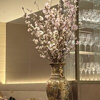 SALONE TOKYO - 