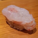 鮨 さかい - ⑱牡丹海老(北海道増毛産)
      産卵は秋～春、旬は包卵する秋～春
      身はプリプリとしつつもねっとり食感、甘みが強く旨みもしっかり
      全て雄で誕生、5年で性転換し全て雌になる