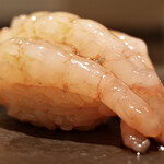 島津 - 甘海老(追加)