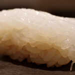 島津 - 泥障烏賊(追加)