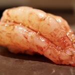 島津 - 縞海老(追加)