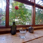 CLAMP COFFEE SARASA - 