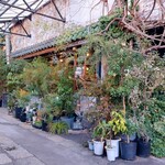 CLAMP COFFEE SARASA - 