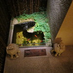 虎白 - 凛とした佇まい3