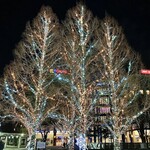 The Bar Al Capone - センター南駅を出てすぐのイルミネーション…